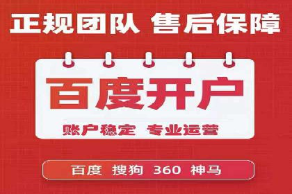 SEM服务公司经典案例集锦